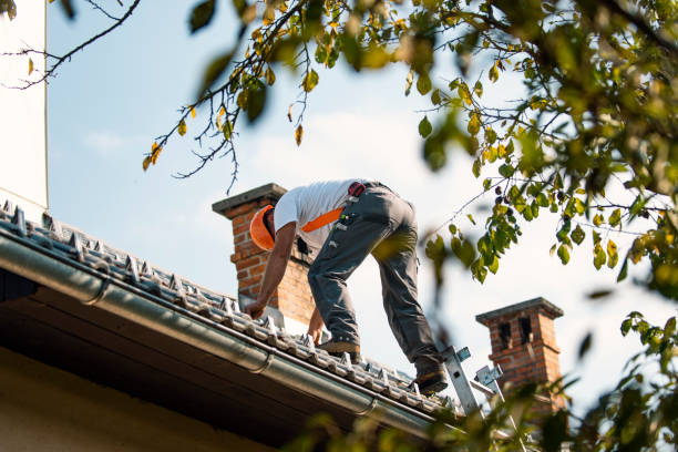 Best Commercial Roofing Services  in Hasson Heights, PA