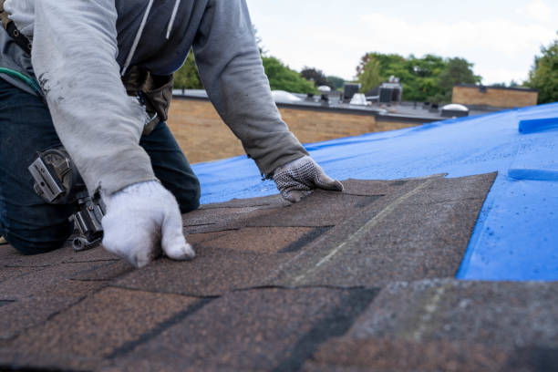 Best Roof Restoration Services  in Hasson Heights, PA