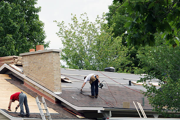 Best Roof Gutter Cleaning  in Hasson Heights, PA