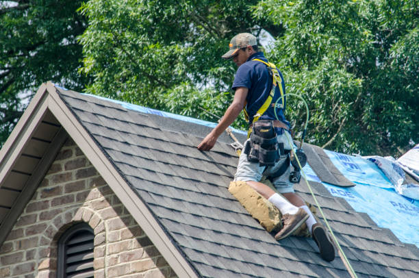 Best Best Roofing Contractors  in Hasson Heights, PA